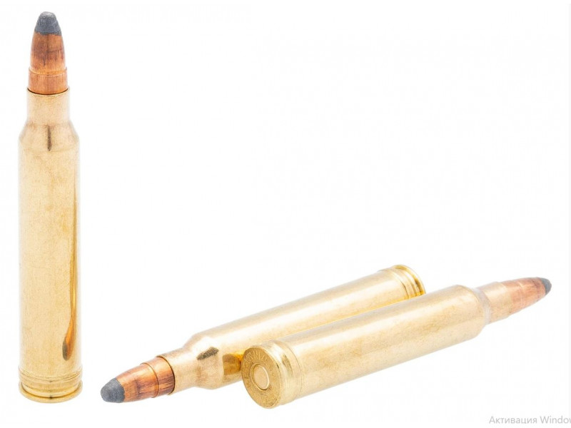 300 Win Mag BRENNEKE SP 12,0г Teilmantel (20шт) 300 Win Mag BRENNEKE SP 12,0г Teilmantel (20шт)